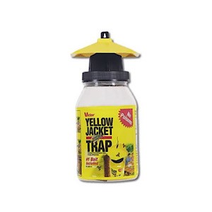 Yellow Jacket & Flying Insect Trap